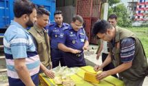 জাতীয় বিশ্ববিদ্যালয়ে চালু হলো ড. সুকুমার রায় মেধা বৃত্তি