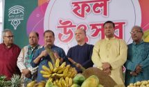 জাতীয় প্রেসক্লাবে ফল উৎসব, গানের আসর