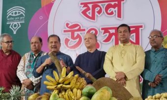 জাতীয় প্রেসক্লাবে ফল উৎসব, গানের আসর