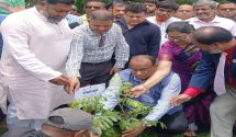 জাতীয় বিশ্ববিদ্যালয় প্রিলিমিনারি টু মাস্টার্সের ইনকোর্স নম্বর এন্ট্রির সময় বাড়ল