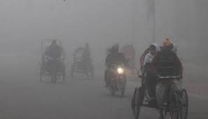 ঝিনাইদহে এখন শুধুই শীতের তীব্রতা