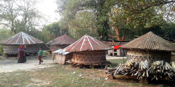 ঝিনাইদহ মহেশপুরের ভবনগর গ্রামের বাড়িতে বাড়িতে ধানের গোলা