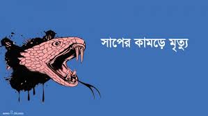 শৈলকুপায় বিষধর সাপের কামড়ে অন্ত:স্বত্তা নারী ও যুবকের মৃত্যু