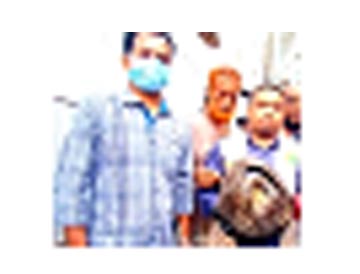 ঢাকা থেকে উদ্ধার হওয়া বনরুই সাফারি পার্কে অবমুক্ত