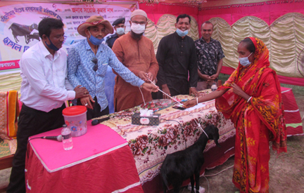 ঝিনাইদহে অসহায় দুস্থ নারীদের মাঝে ছাগল বিতরণ