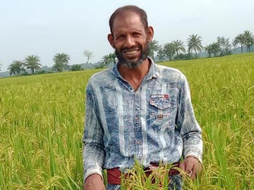 উদ্ভাবিত ব্রি-ধান ৭৫ ফলনে চমক, কৃষকদের মুখে বইছে তৃপ্তির হাসি