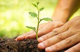 র‌্যাব সেবা সপ্তাহ উপলক্ষে বৃক্ষরোপনসহ গাছের চারা বিতরণ কর্মসূচী পালন