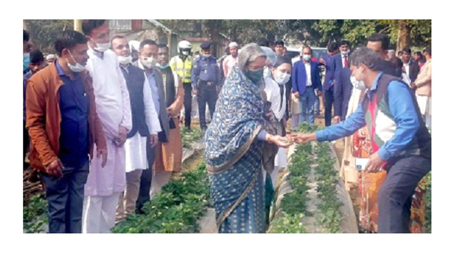 টিউলিপ ফুল বাগান দেখতে শিক্ষামন্ত্রী শ্রীপুরে