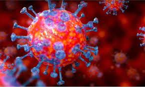 দেশে করোনা ভাইরাসে আরও চারজনের মৃত্যু