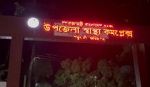 গোপালগঞ্জে বালুবাহী ট্রাকসহ ভেঙে পড়ল ব্রিজ, আহত ৫